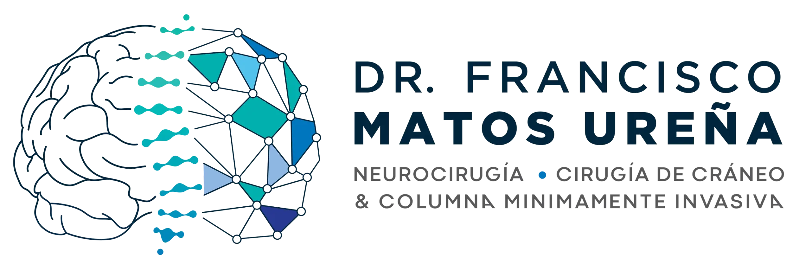 logo web